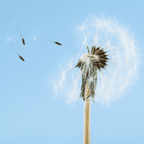 halpet_lpc_online_edukacije_ucenje_promjena_perspektive_wish_do