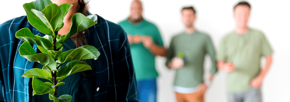 lpc web_rast i razvoj