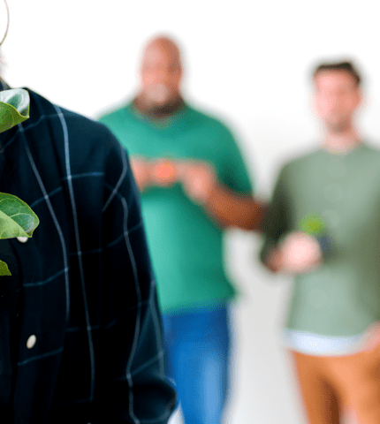 lpc web_rast i razvoj