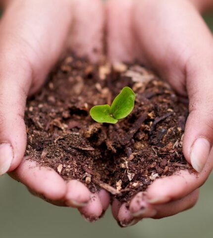 halpet_lpc_online_edukacije_ucenje_webinar_growth_mindset3