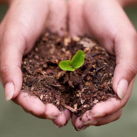 halpet_lpc_online_edukacije_ucenje_webinar_growth_mindset3